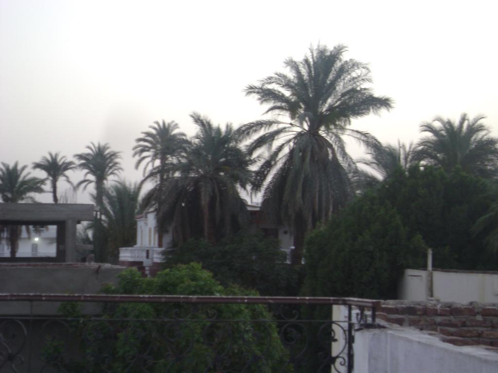 White Villa Luxor Exterior photo